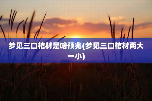 梦见三口棺材是啥预兆(梦见三口棺材两大一小)