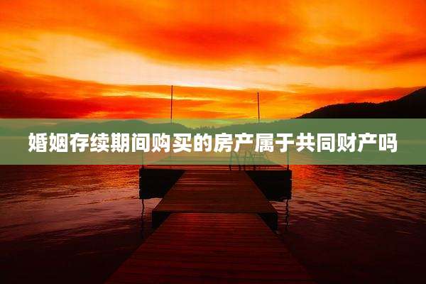 婚姻存续期间购买的房产属于共同财产吗
