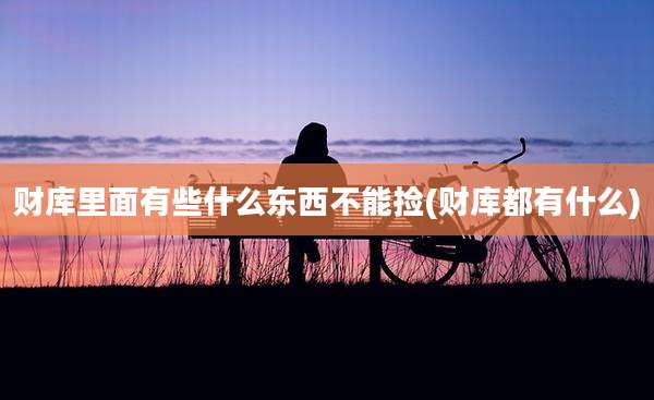 财库里面有些什么东西不能捡(财库都有什么)