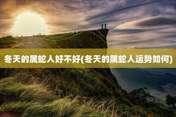冬天的属蛇人好不好(冬天的属蛇人运势如何)
