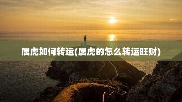 属虎如何转运(属虎的怎么转运旺财)