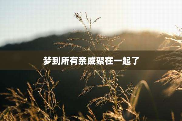 梦到所有亲戚聚在一起了