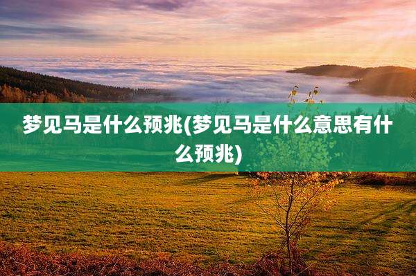 梦见马是什么预兆(梦见马是什么意思有什么预兆)
