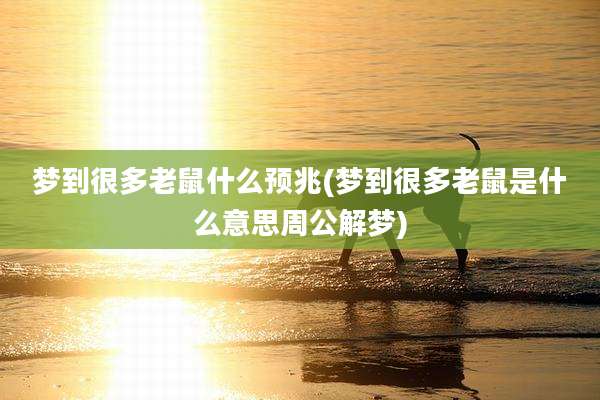 梦到很多老鼠什么预兆(梦到很多老鼠是什么意思周公解梦)