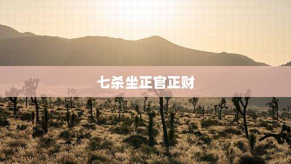 七杀坐正官正财