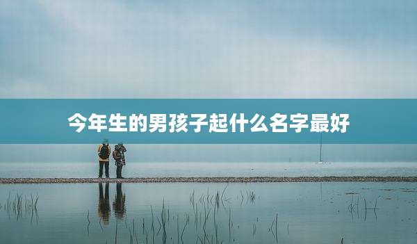 今年生的男孩子起什么名字最好