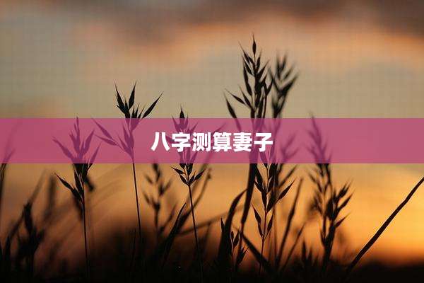 八字测算妻子