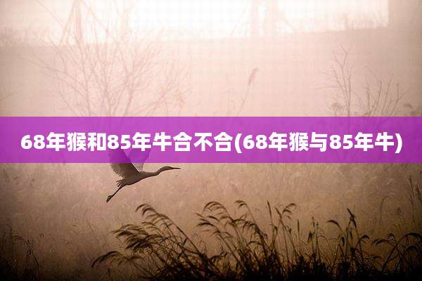68年猴和85年牛合不合(68年猴与85年牛)