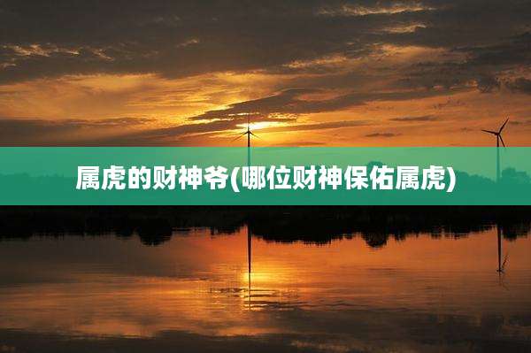 属虎的财神爷(哪位财神保佑属虎)