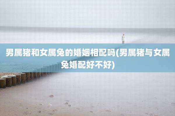 男属猪和女属兔的婚姻相配吗(男属猪与女属兔婚配好不好)