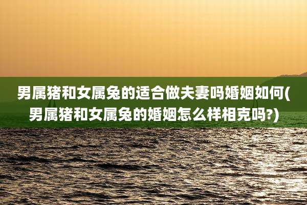 男属猪和女属兔的适合做夫妻吗婚姻如何(男属猪和女属兔的婚姻怎么样相克吗?)