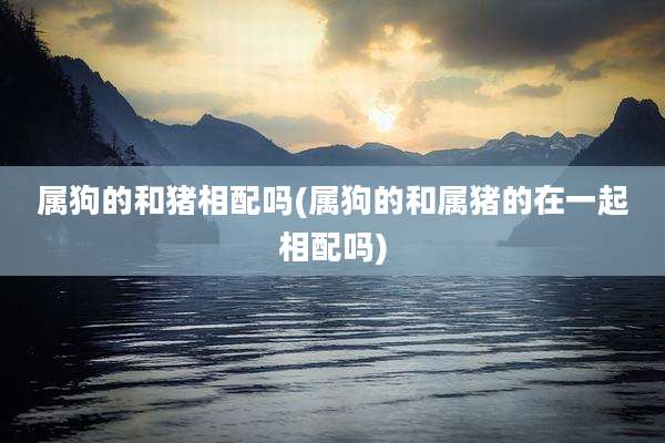 属狗的和猪相配吗(属狗的和属猪的在一起相配吗)