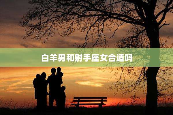 白羊男和射手座女合适吗
