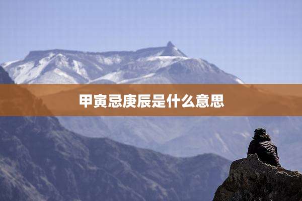 甲寅忌庚辰是什么意思