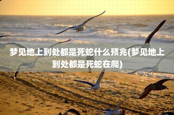 梦见地上到处都是死蛇什么预兆(梦见地上到处都是死蛇在爬)
