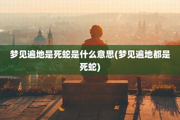 梦见遍地是死蛇是什么意思(梦见遍地都是死蛇)