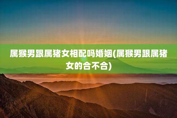 属猴男跟属猪女相配吗婚姻(属猴男跟属猪女的合不合)