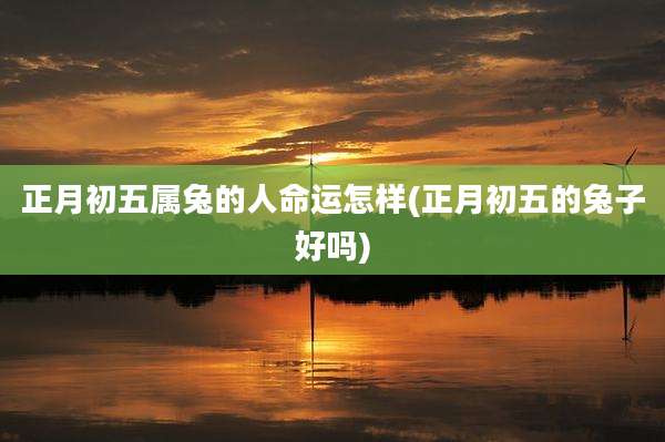 正月初五属兔的人命运怎样(正月初五的兔子好吗)