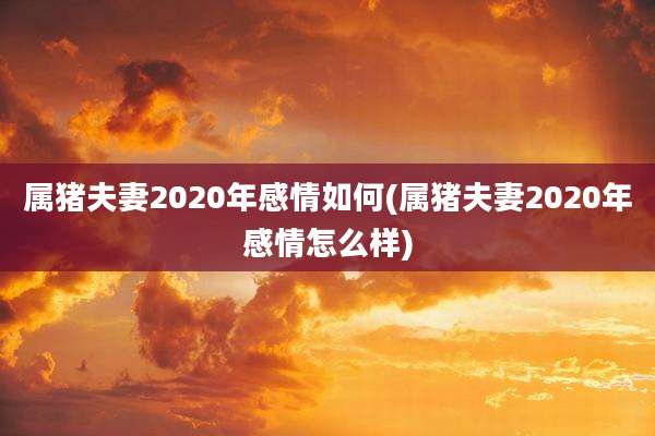 属猪夫妻2020年感情如何(属猪夫妻2020年感情怎么样)