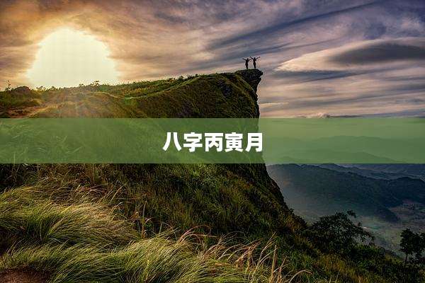 八字丙寅月