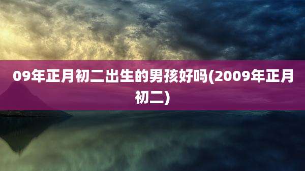 09年正月初二出生的男孩好吗(2009年正月初二)