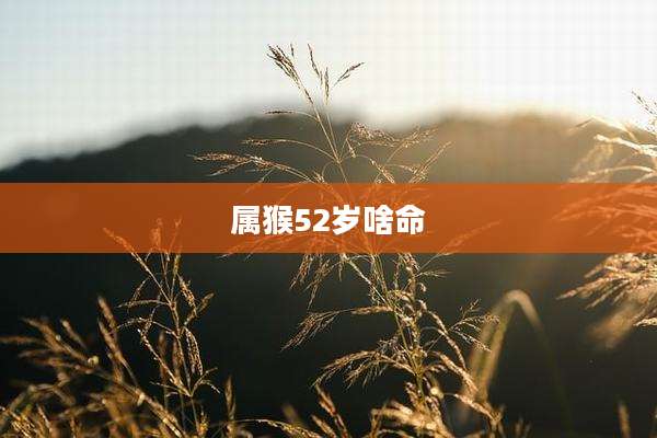 属猴52岁啥命