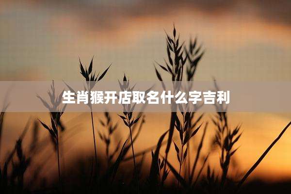 生肖猴开店取名什么字吉利