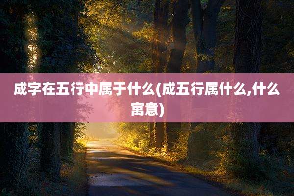 成字在五行中属于什么(成五行属什么,什么寓意)