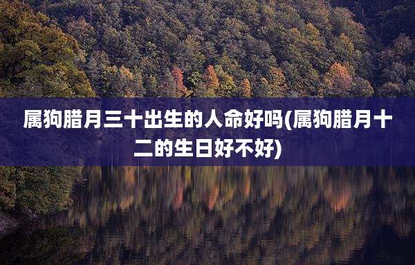 属狗腊月三十出生的人命好吗(属狗腊月十二的生日好不好)