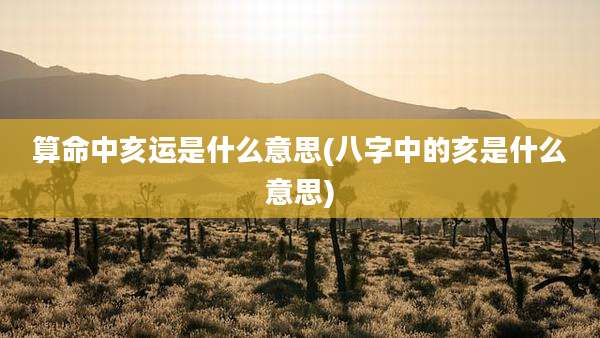 算命中亥运是什么意思(八字中的亥是什么意思)