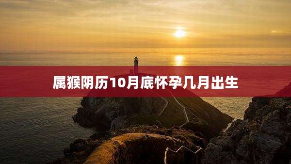 属猴阴历10月底怀孕几月出生
