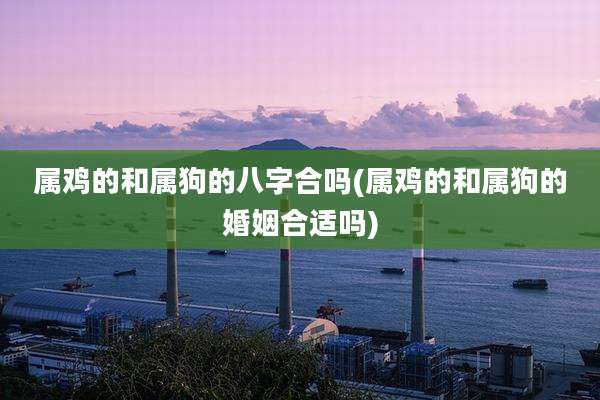 属鸡的和属狗的八字合吗(属鸡的和属狗的婚姻合适吗)