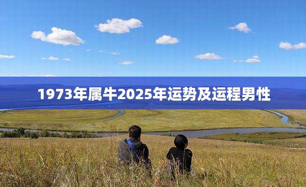 1973年属牛2025年运势及运程男性