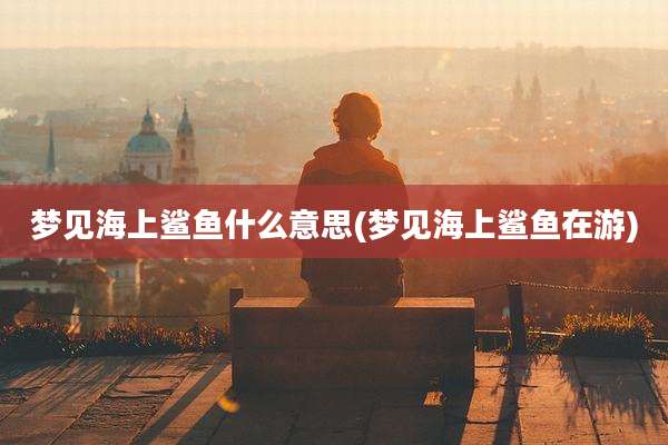 梦见海上鲨鱼什么意思(梦见海上鲨鱼在游)