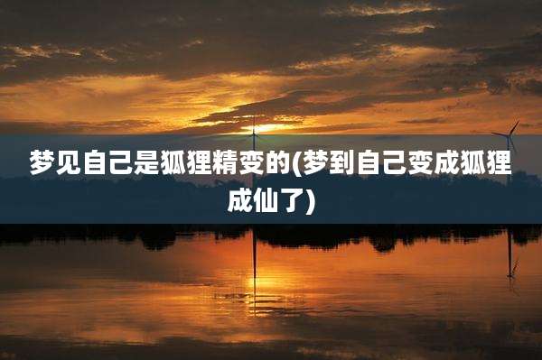 梦见自己是狐狸精变的(梦到自己变成狐狸成仙了)