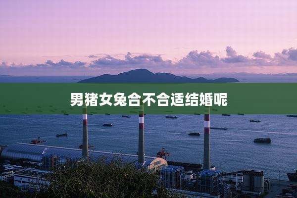 男猪女兔合不合适结婚呢