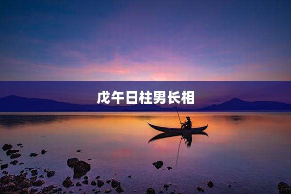 戊午日柱男长相