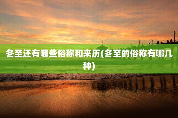 冬至还有哪些俗称和来历(冬至的俗称有哪几种)