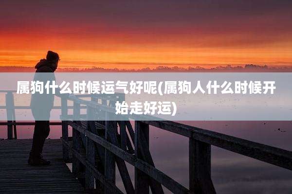 属狗什么时候运气好呢(属狗人什么时候开始走好运)