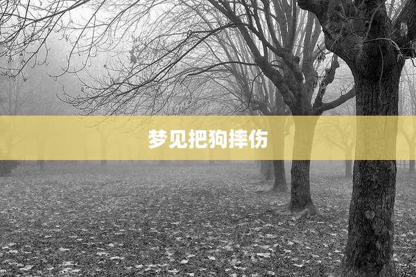 梦见把狗摔伤