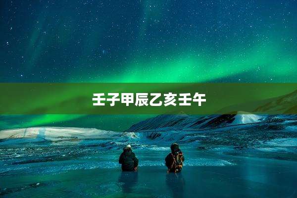 壬子甲辰乙亥壬午