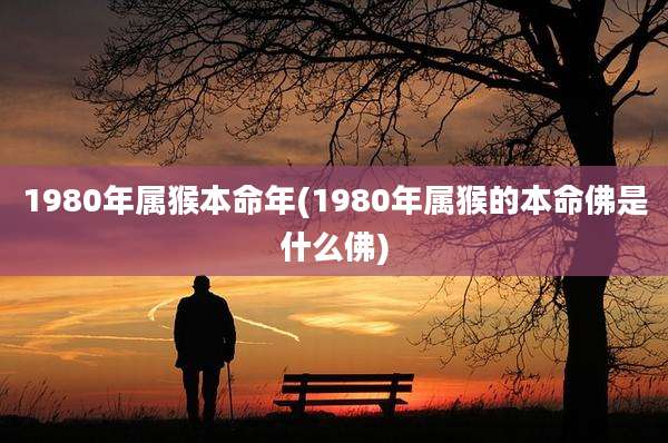 1980年属猴本命年(1980年属猴的本命佛是什么佛)