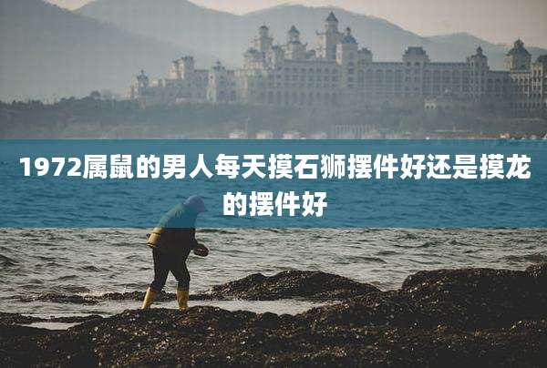 1972属鼠的男人每天摸石狮摆件好还是摸龙的摆件好