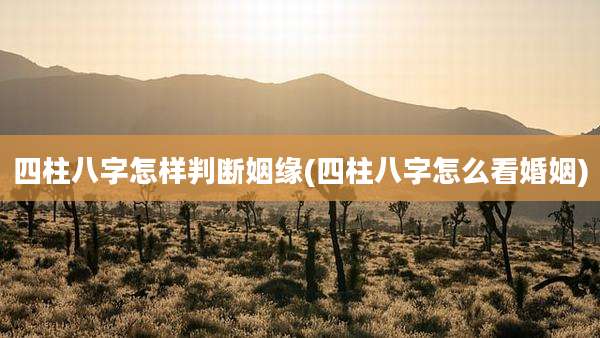 四柱八字怎样判断姻缘(四柱八字怎么看婚姻)