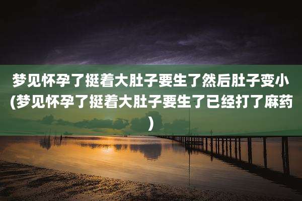 梦见怀孕了挺着大肚子要生了然后肚子变小(梦见怀孕了挺着大肚子要生了已经打了麻药)