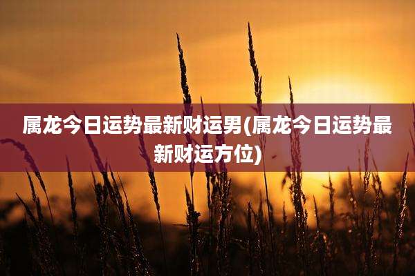属龙今日运势最新财运男(属龙今日运势最新财运方位)