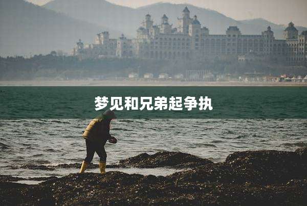 梦见和兄弟起争执