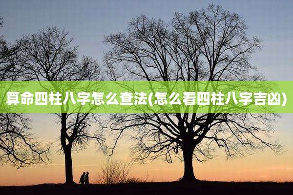 算命四柱八字怎么查法(怎么看四柱八字吉凶)