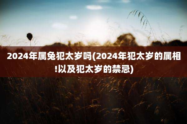 2024年属兔犯太岁吗(2024年犯太岁的属相!以及犯太岁的禁忌)
