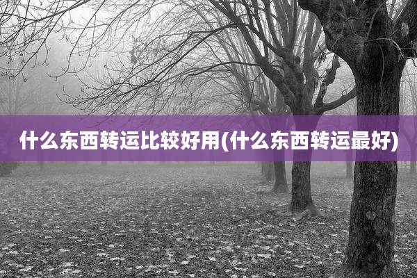什么东西转运比较好用(什么东西转运最好)